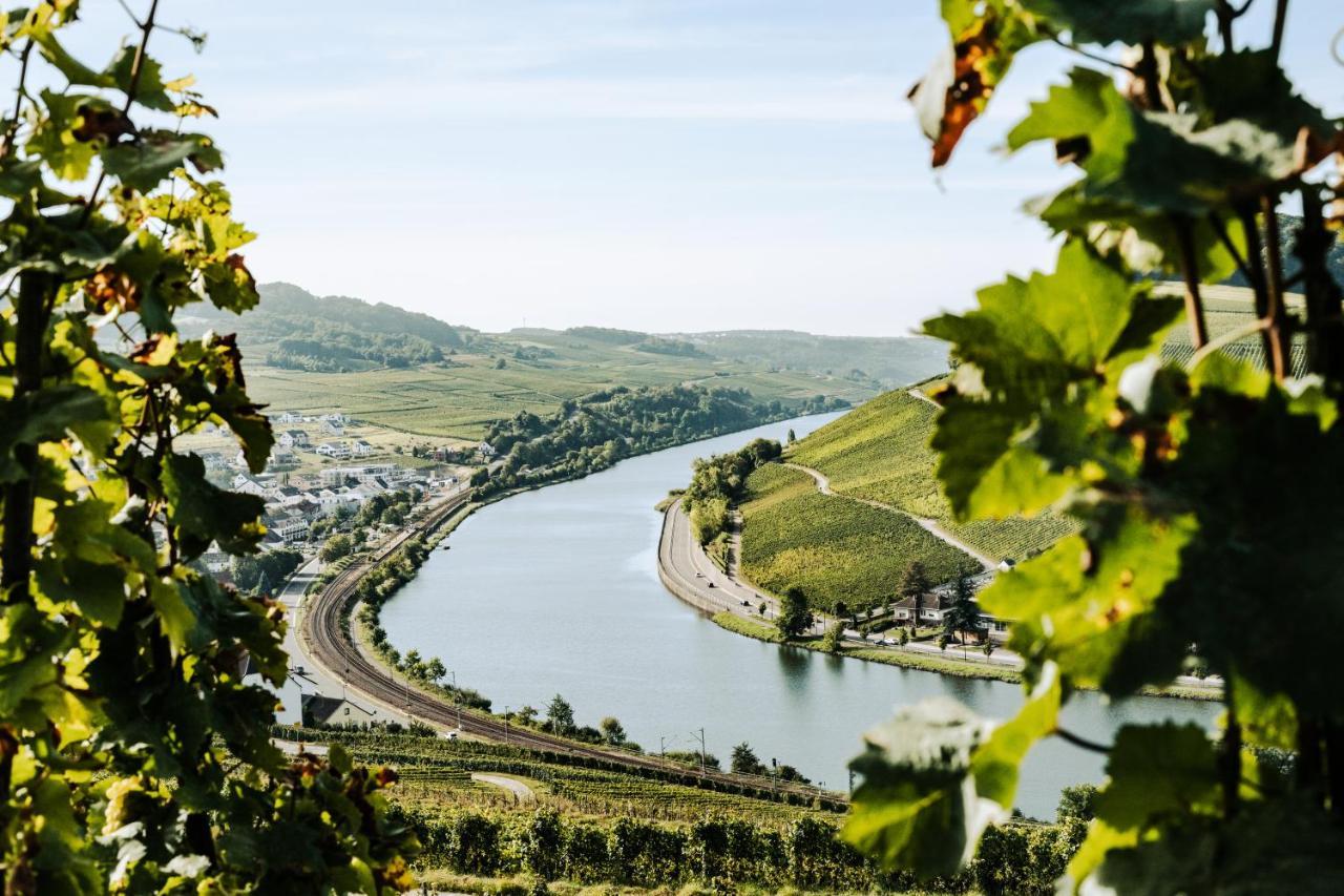 Weingut Und Gaestehaus Apel Ниттель Экстерьер фото
